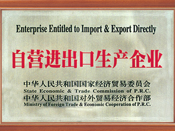 自營進出口生產企業