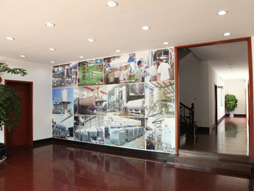 企業風（fēng）貌